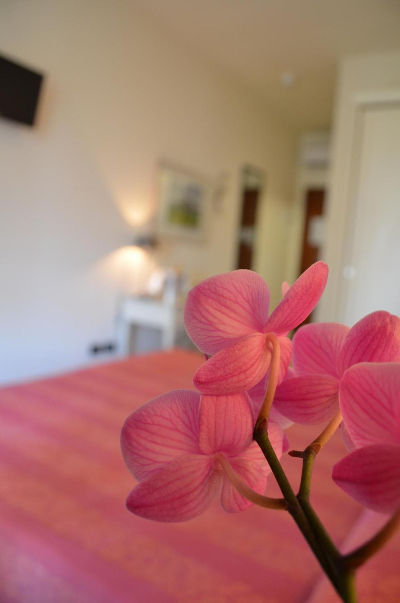 Hotel Relax Family & Spa Σαν Μπενεντέτο ντελ Τρόντο Εξωτερικό φωτογραφία